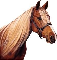 Chevaux